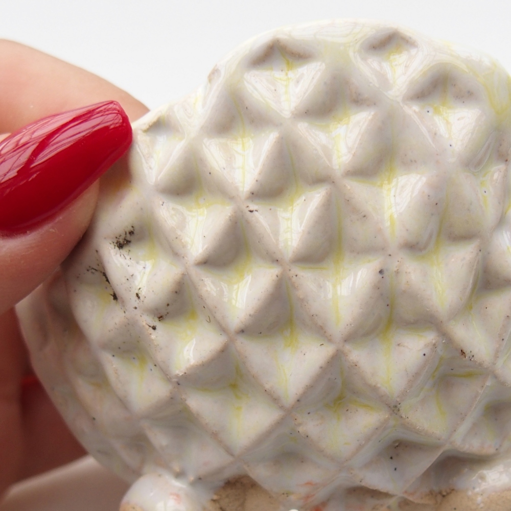 Schelp van keramiek 8 x 8 x 5 cm , kleur groen