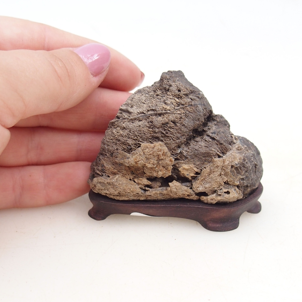 Suiseki - Steen met DAI (houten basis)