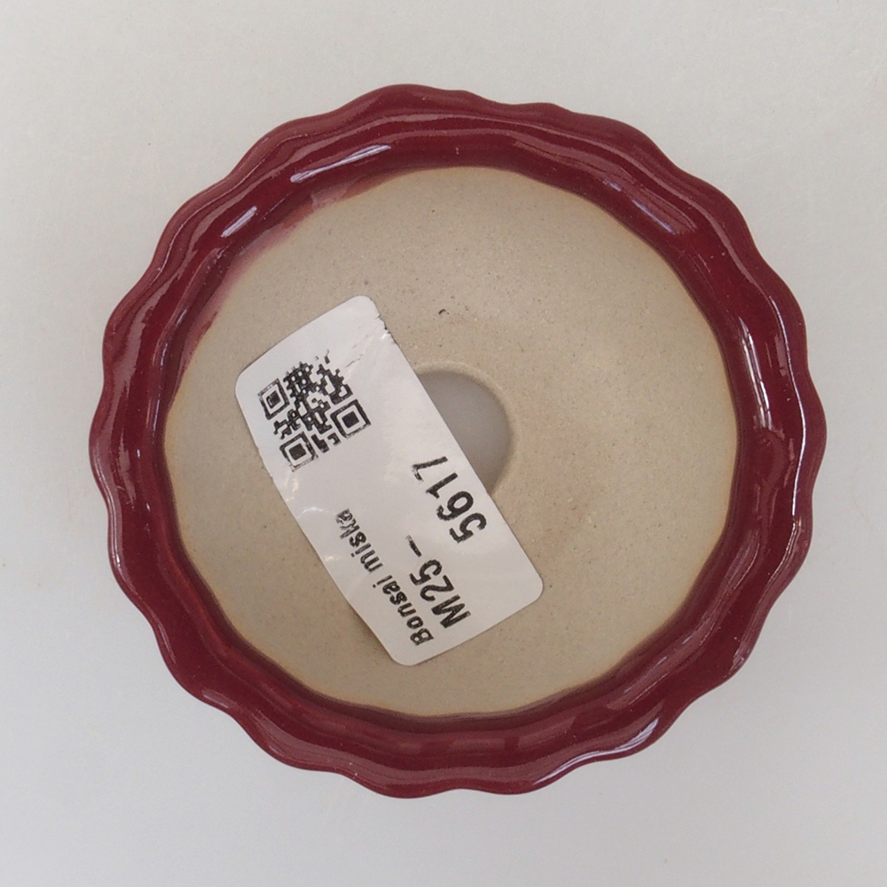 Mini bonsaischaal 6,5 x 6,5 x 3,5 cm, bordeauxrood