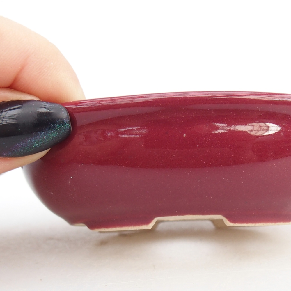 Mini bonsaischaal 8 x 6 x 2,5 cm, bordeauxrood