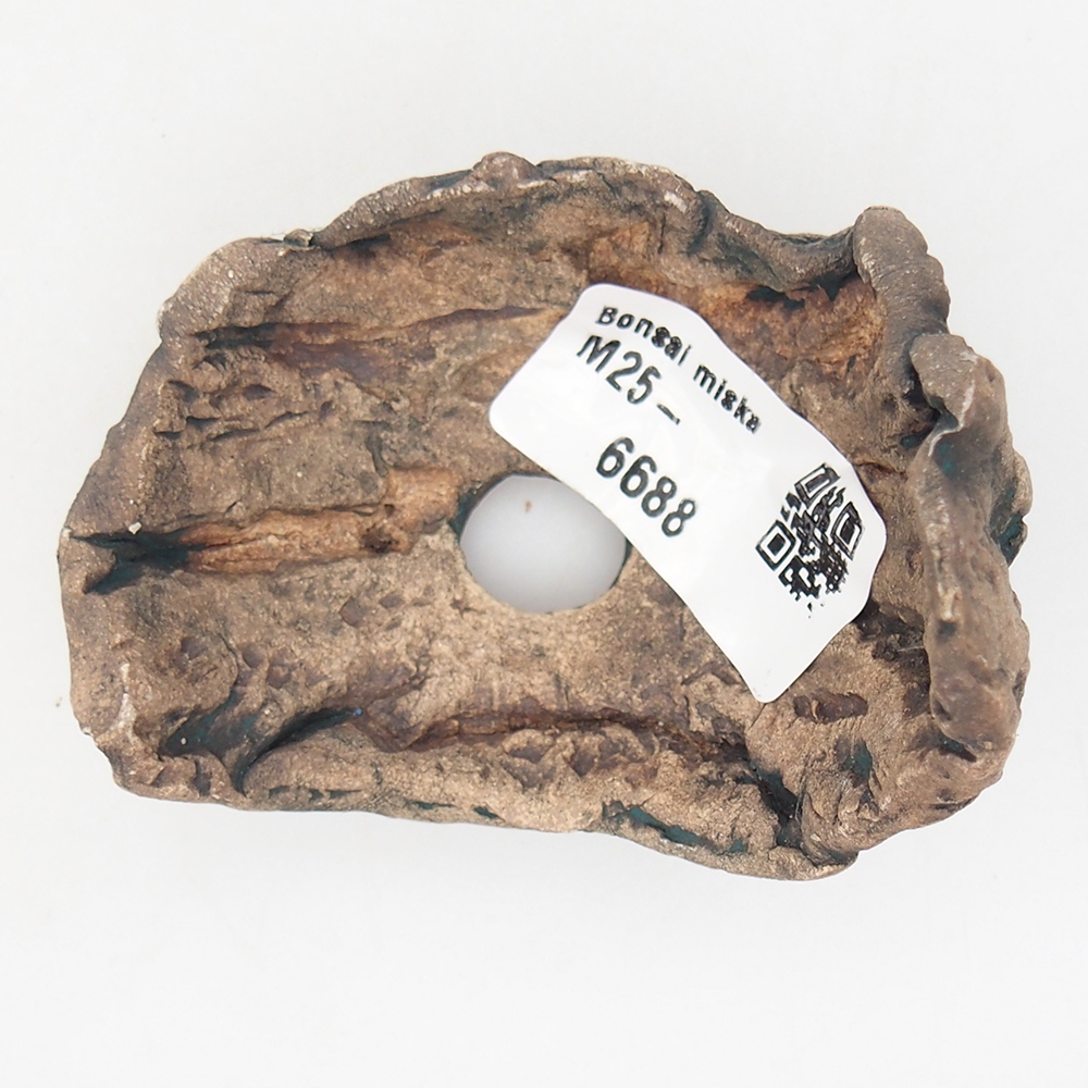 Schelp van keramiek 6,5 x 5,5 x 6 cm , kleur groen