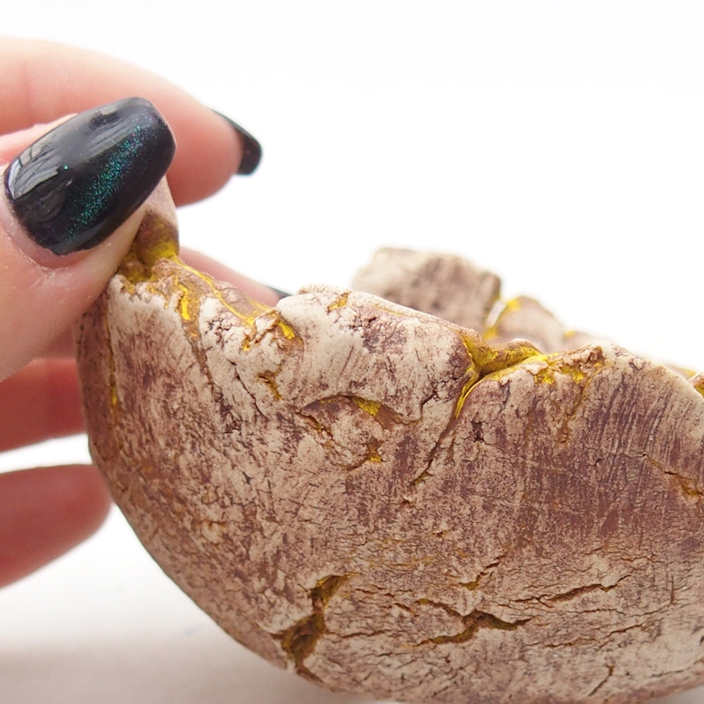 Keramische schelp 9 x 9 x 5,5 cm , geel