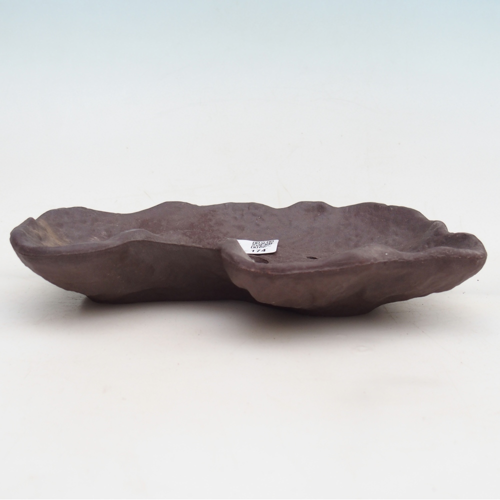 Keramisch Schelp 19 x 13,5 x 3,5 cm , kleur bruin