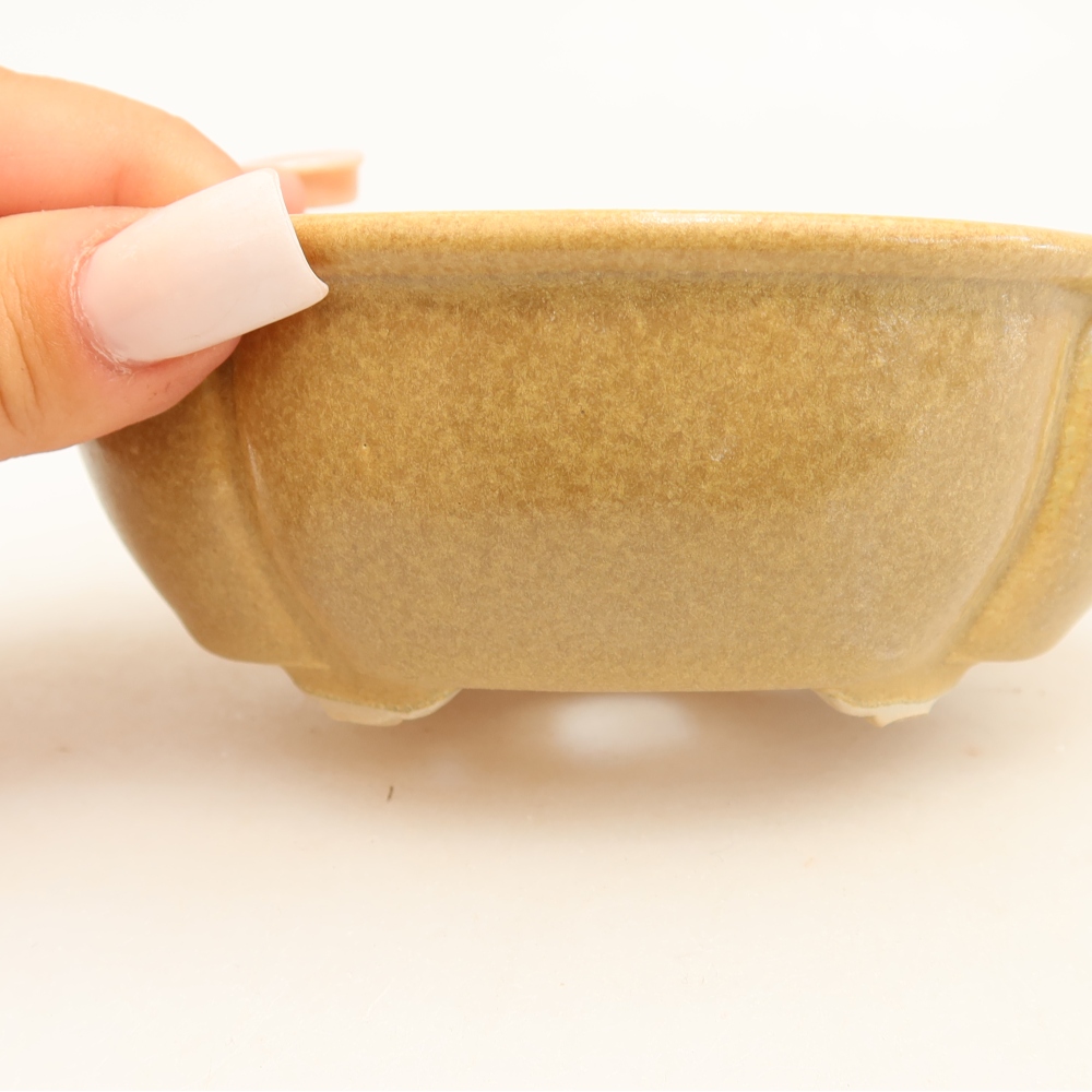 Keramische bonsaipot 12,5 x 10,5 x 4,5 cm, kleur: beige