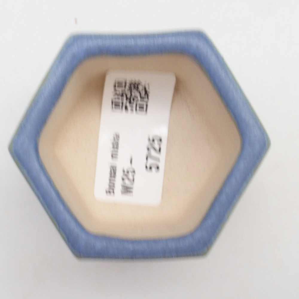 Mini bonsaischaal 6 x 5,5 x 4 cm, kleur blauw