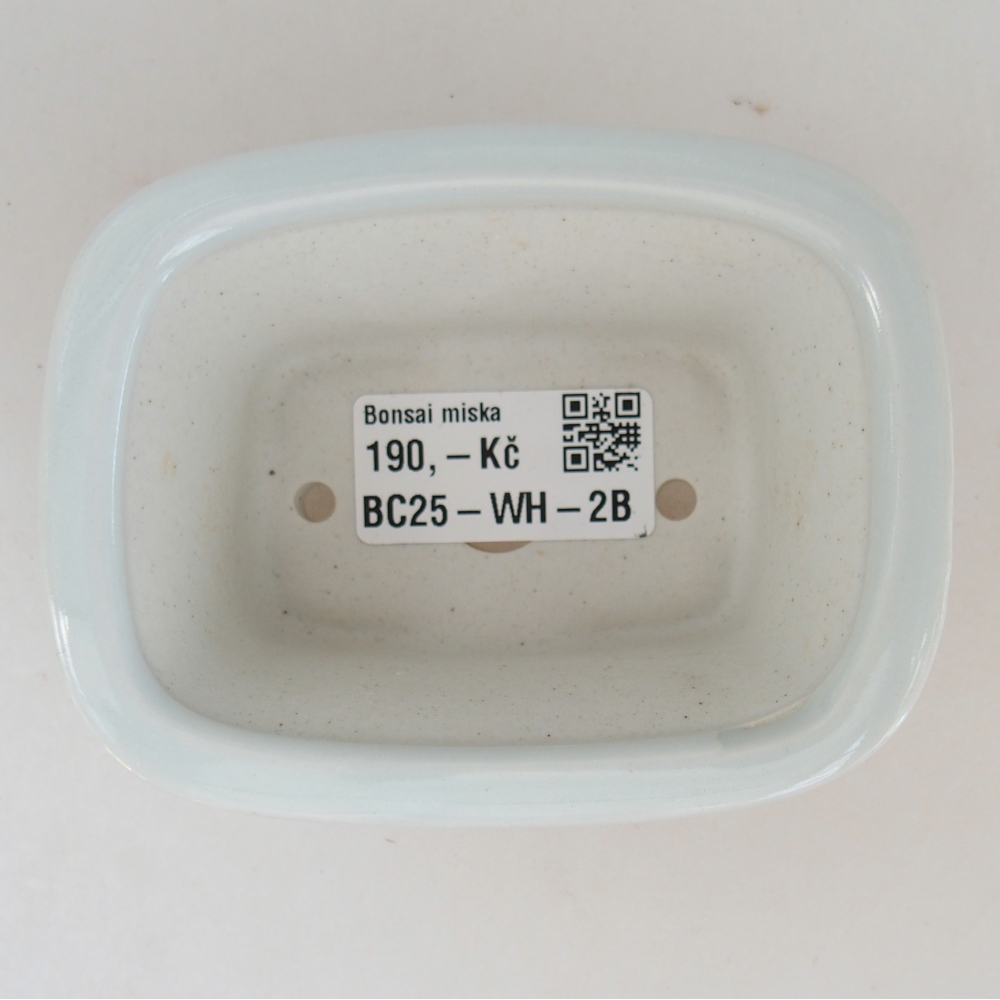 Mini bonsaischaal 10 x 7,5 x 4 cm, kleur wit