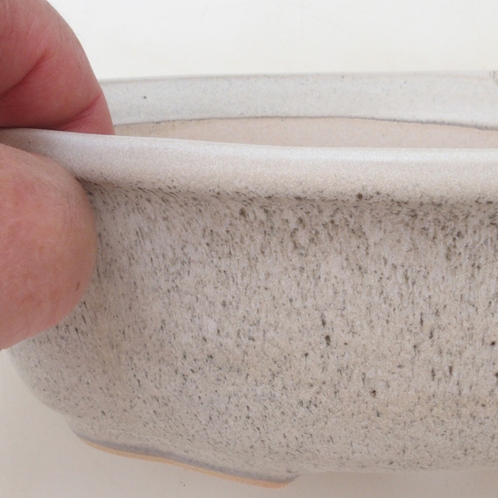 Bonsaischaal H75 - 19 x 14 x 6,5 cm - beige