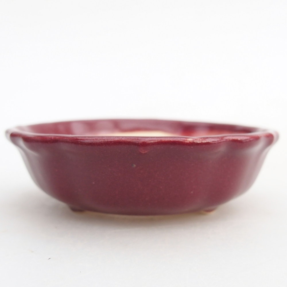 Mini bonsaischaal 7,5 x 7,5 x 2,5 cm, bordeauxrood