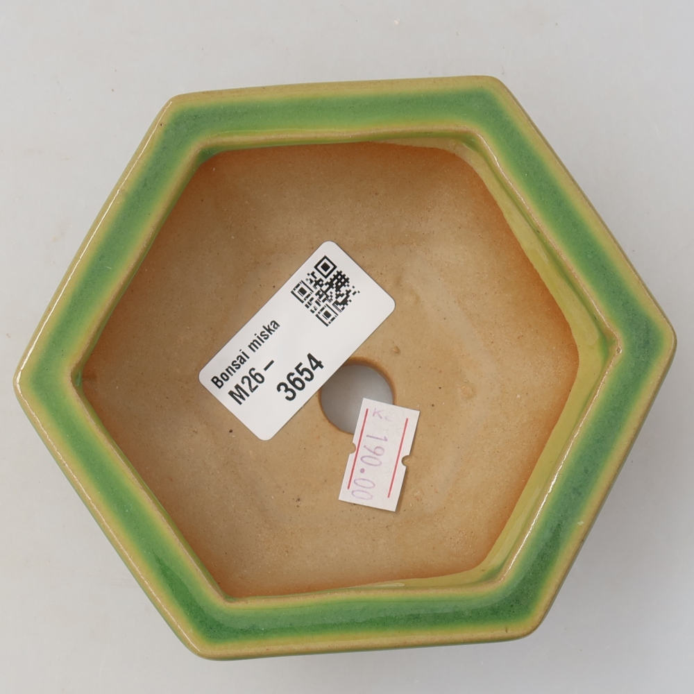 Bonsaischaal van keramiek 12 x 10,5 x 4,5 cm, groen