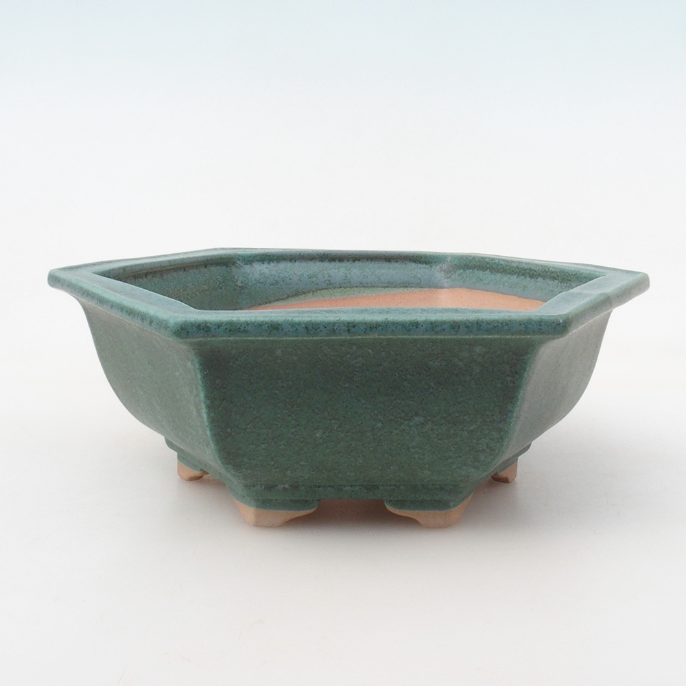 Bonsai kom + schotel H53 - 19 x 21,5 x 7 cm - groen