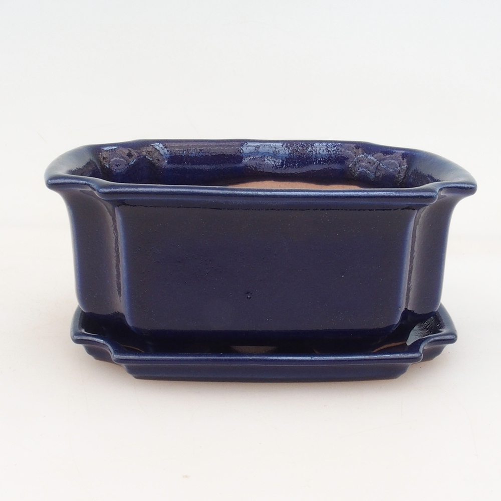 Bonsai kom + schotel H01 - blauw