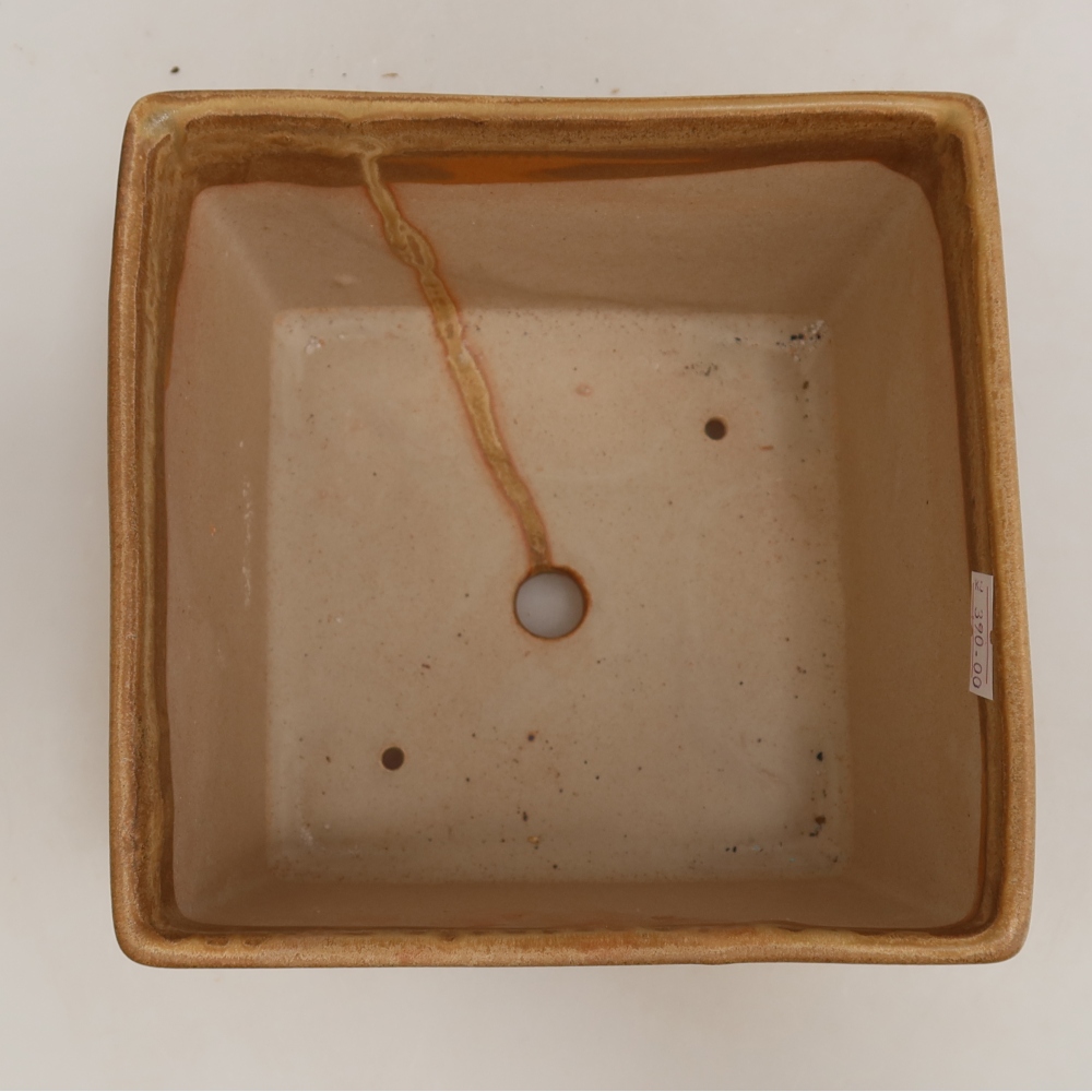 Keramische bonsaipot 15 x 15 x 10,5 cm, kleur: beige