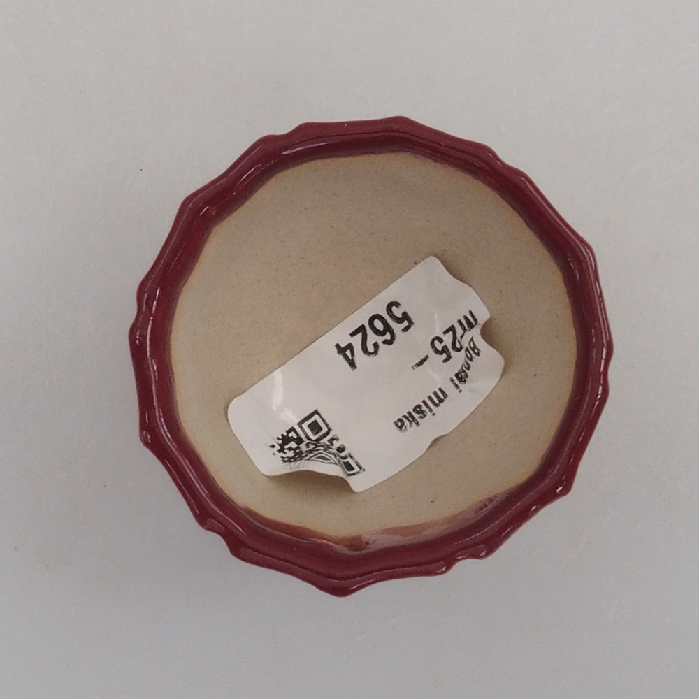 Mini bonsaischaal 5 x 5 x 3 cm, bordeauxrood