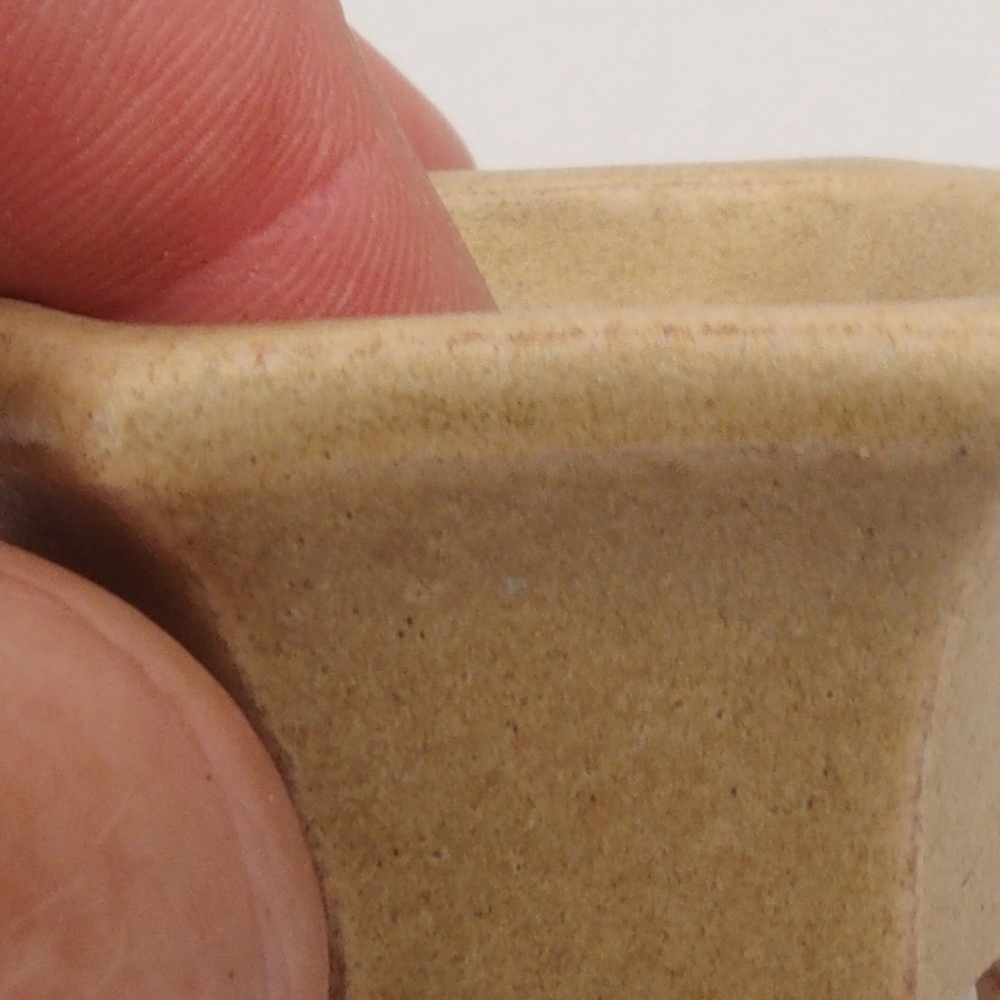 Mini bonsaischaal 4,5 x 4,5 x 2,5 cm, bruin