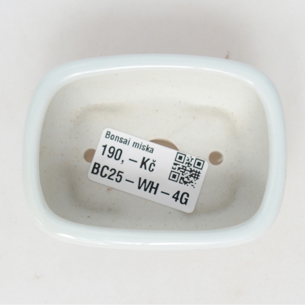 Mini bonsaischaal 8 x 6 x 3 cm, wit