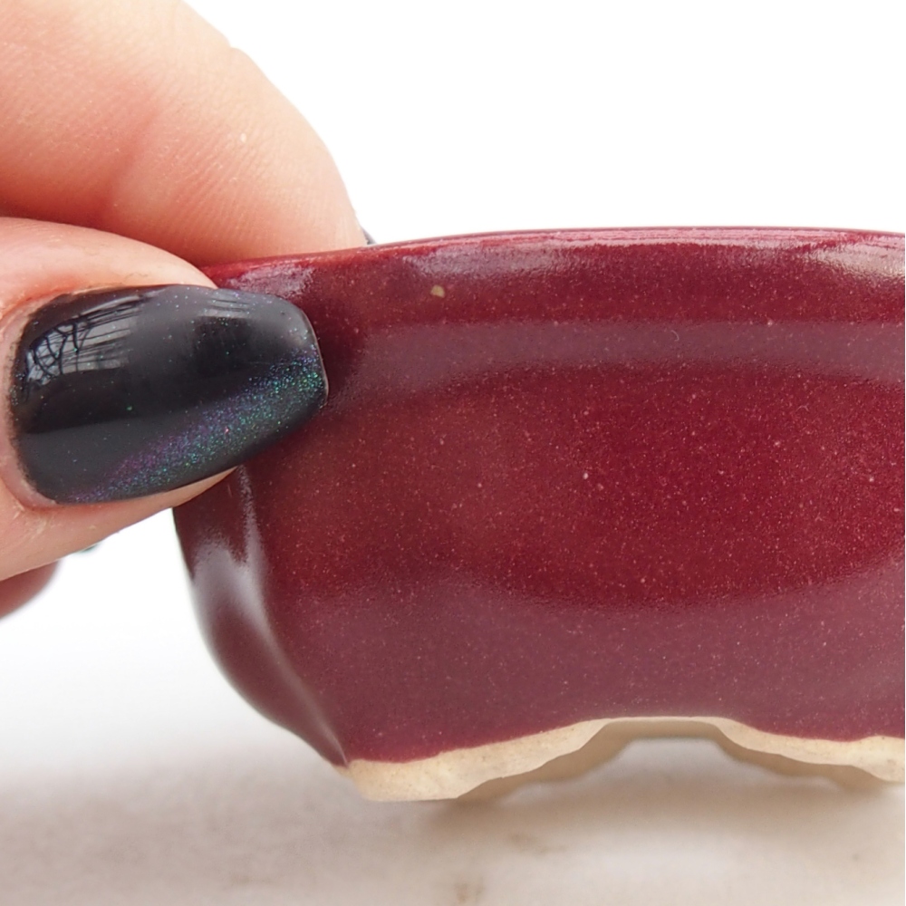 Mini bonsaischaal 6,5 x 6,5 x 3 cm, bordeauxrood