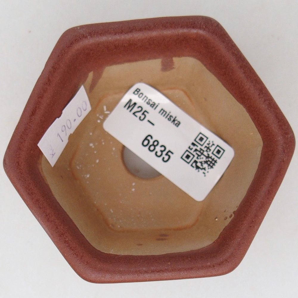 Bonsaischaal van keramiek 7,5 x 7 x 4 cm, bruin