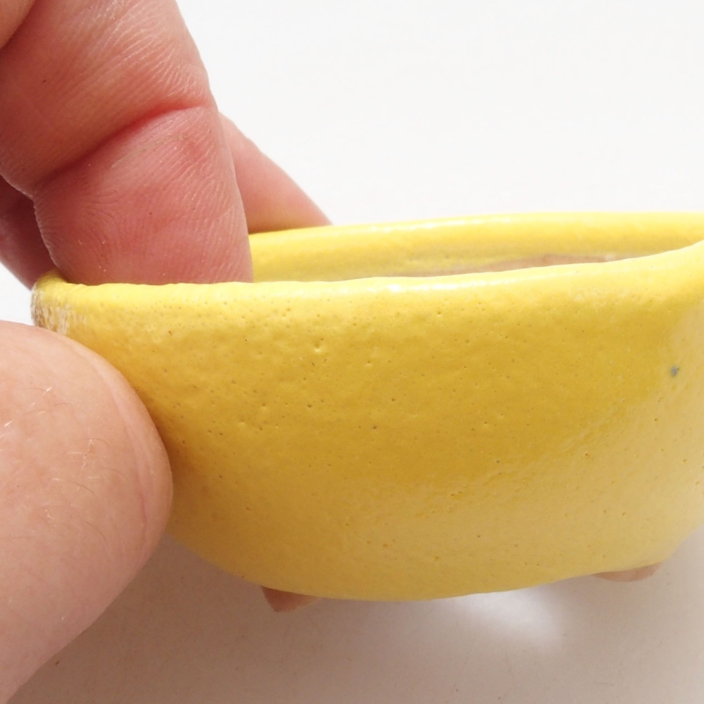 Bonsaischaal van keramiek 6 x 6 x 2,5 cm, geel