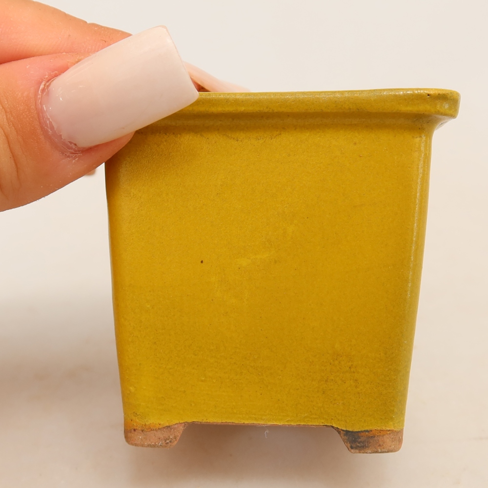 Keramische bonsaipot 6 x 6 x 5,5 cm, kleur geel