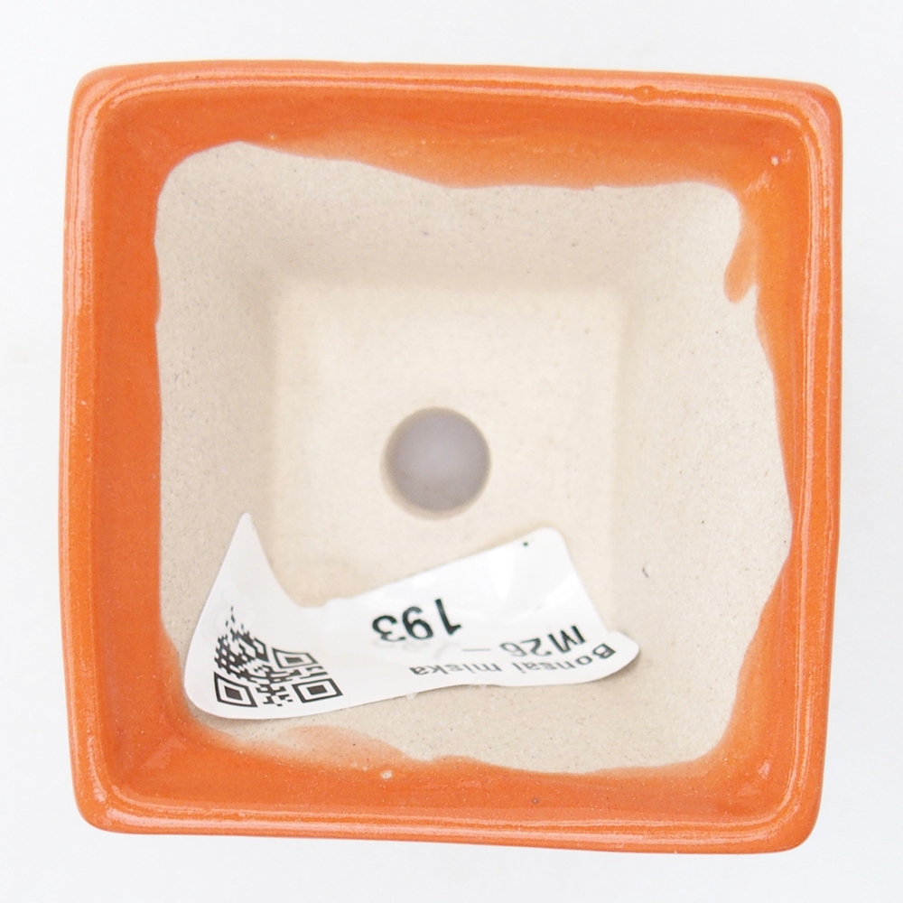 Mini bonsaischaal 5,5 x 5,5 x 3 cm, oranje