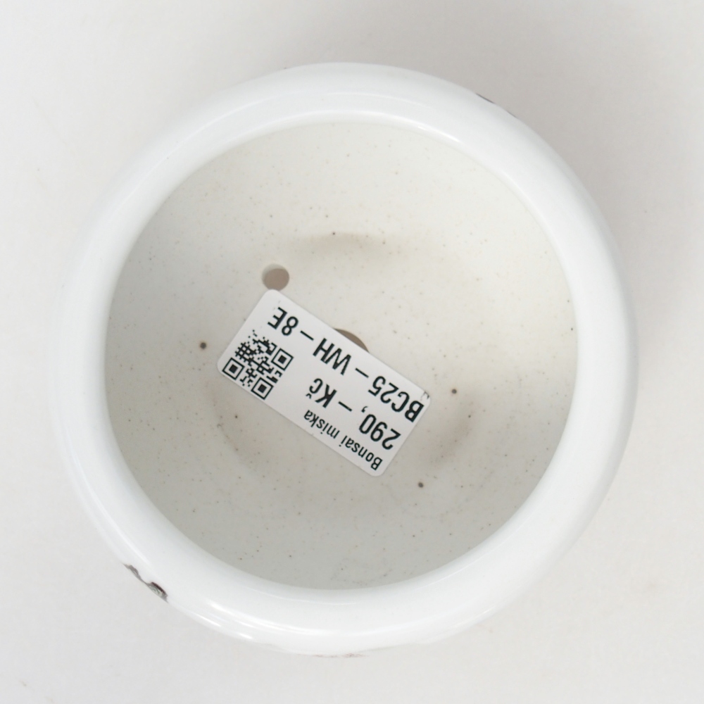 Bonsaischaal van keramiek 10 x 10 x 5 cm, kleur wit