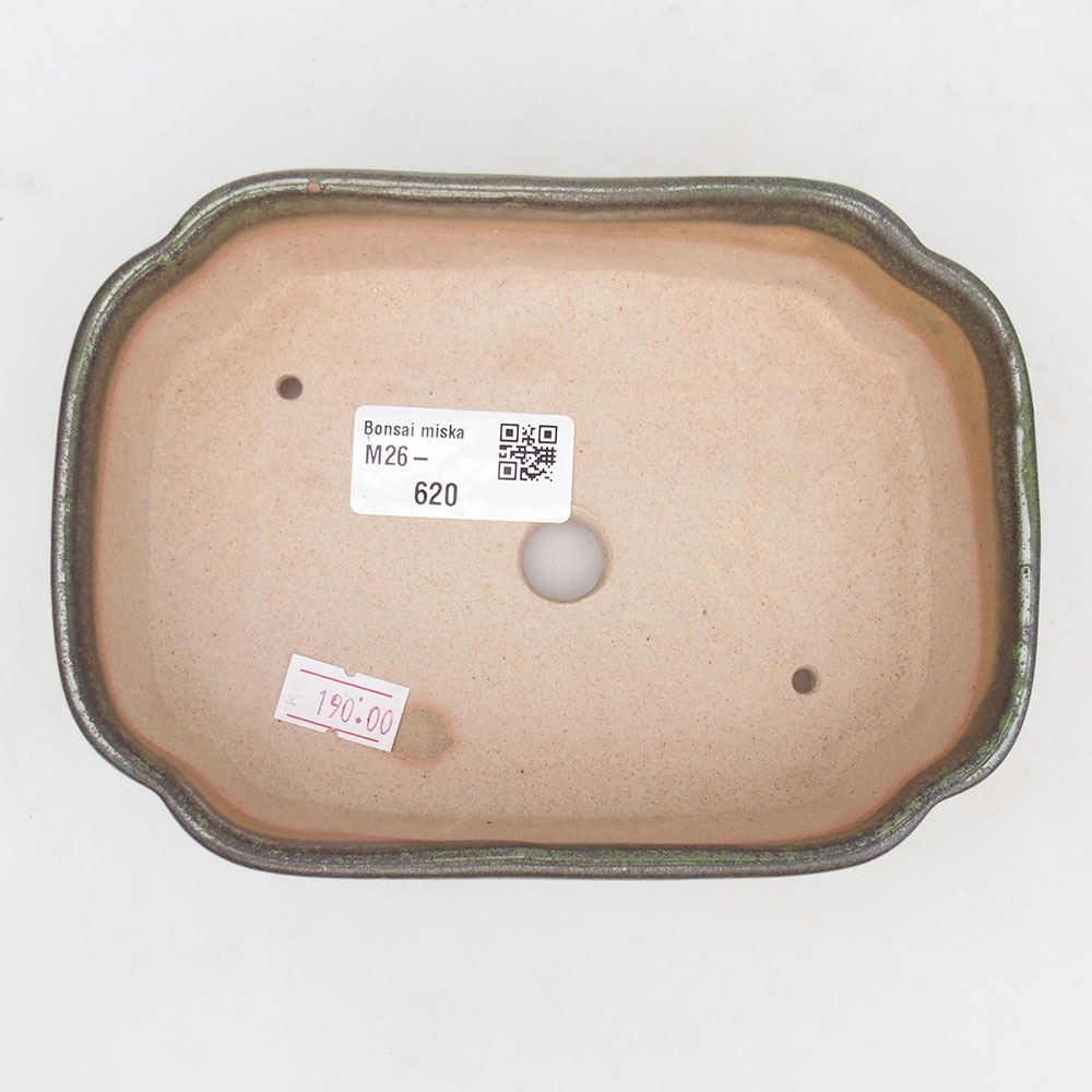 Bonsaischaal van keramiek 16 x 11,5 x 4,5 cm, groen