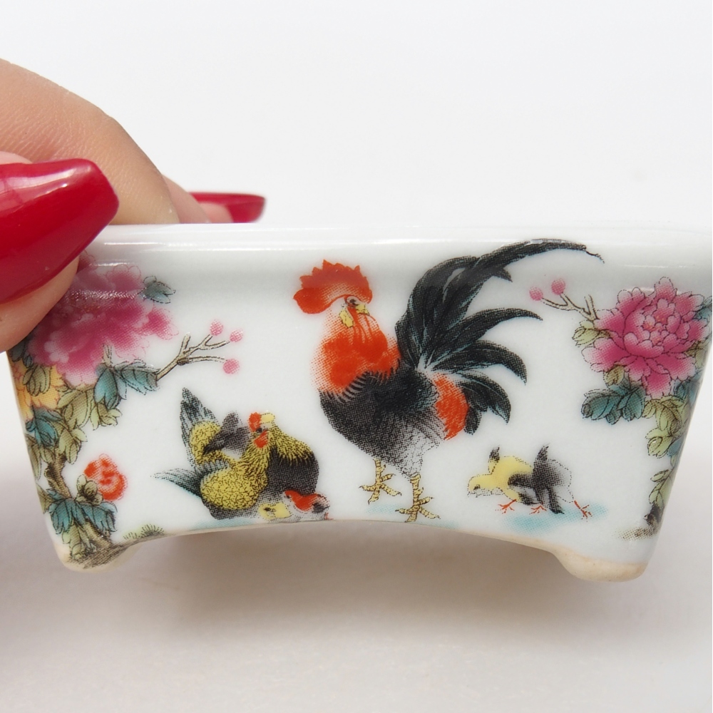 Mini bonsaischaal 8 x 6,5 x 3,5 cm, wit