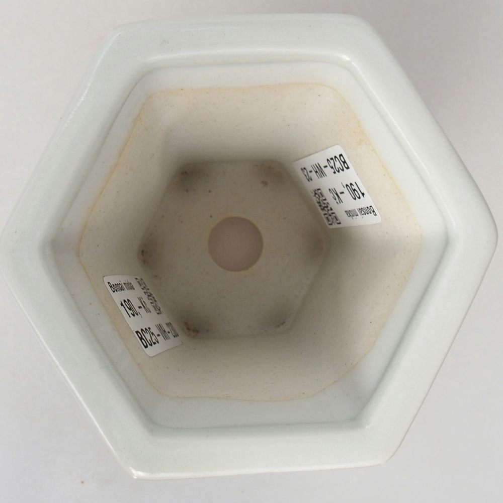 Bonsaischaal van keramiek 10 x 9 x 9 cm, kleur wit