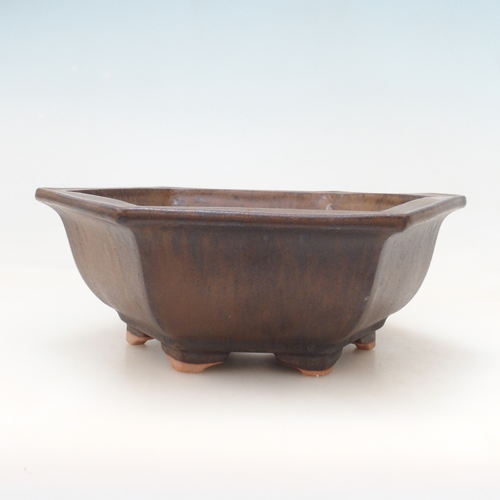 Bonsai kom + schotel H53 - 19 x 21,5 x 7 cm - bruin