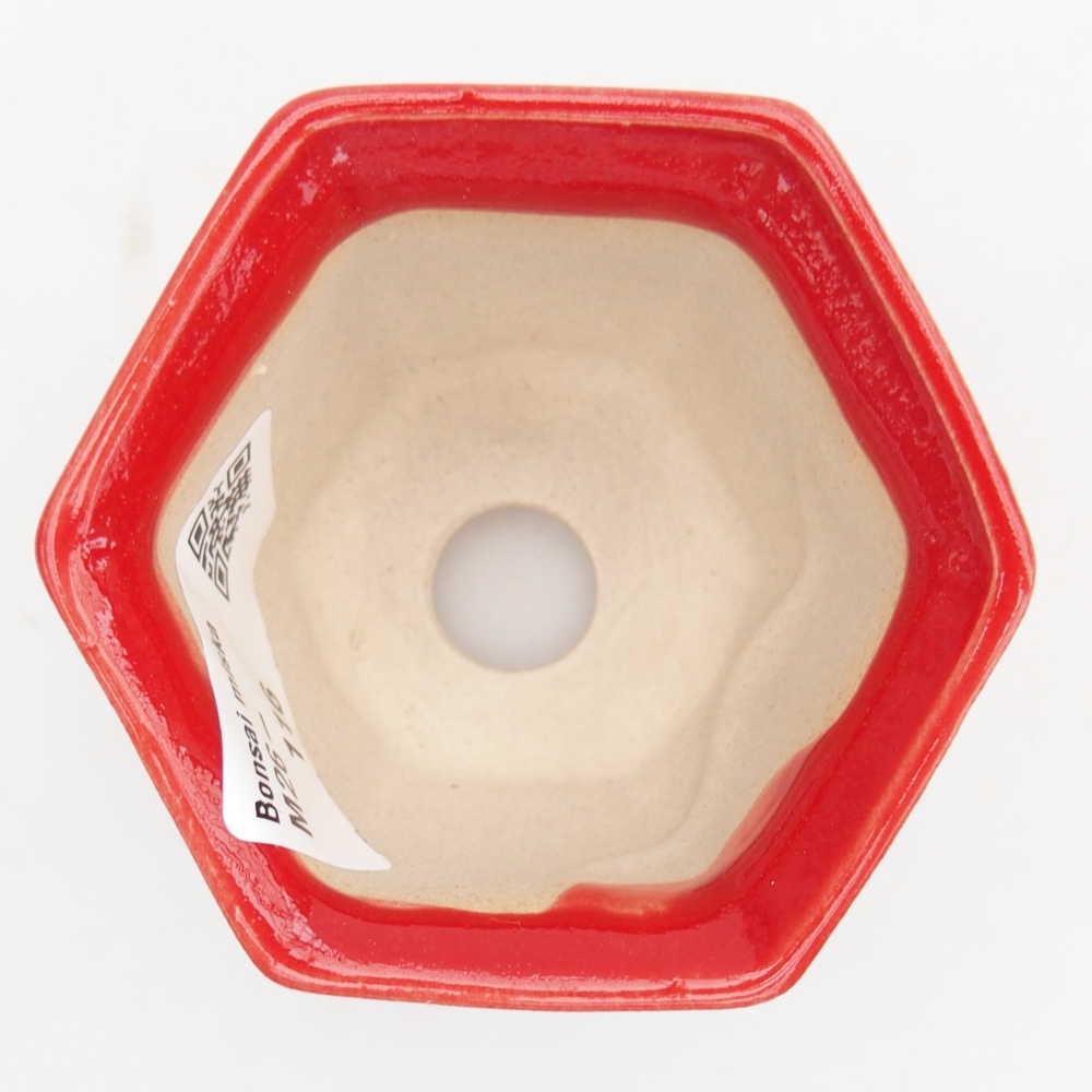 Mini bonsaischaal 7 x 6,5 x 5 cm, kleur rood