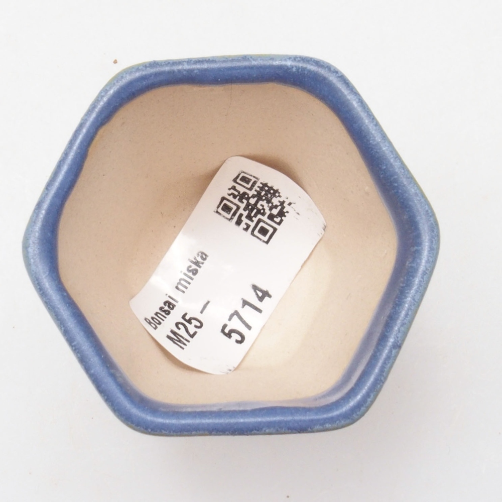 Mini bonsaischaal 5 x 5 x 5 cm, kleur blauw