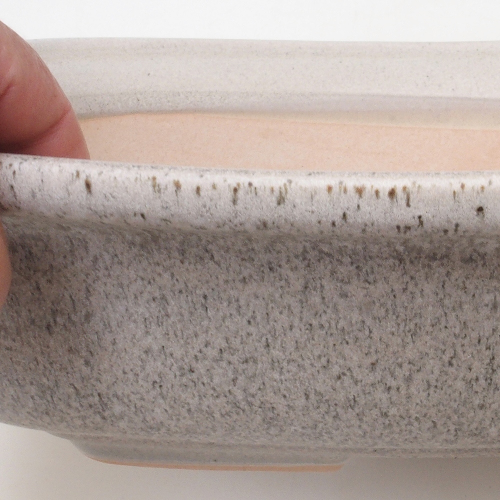 Bonsaischaal H10 - 37 x 28 x 9 cm - beige