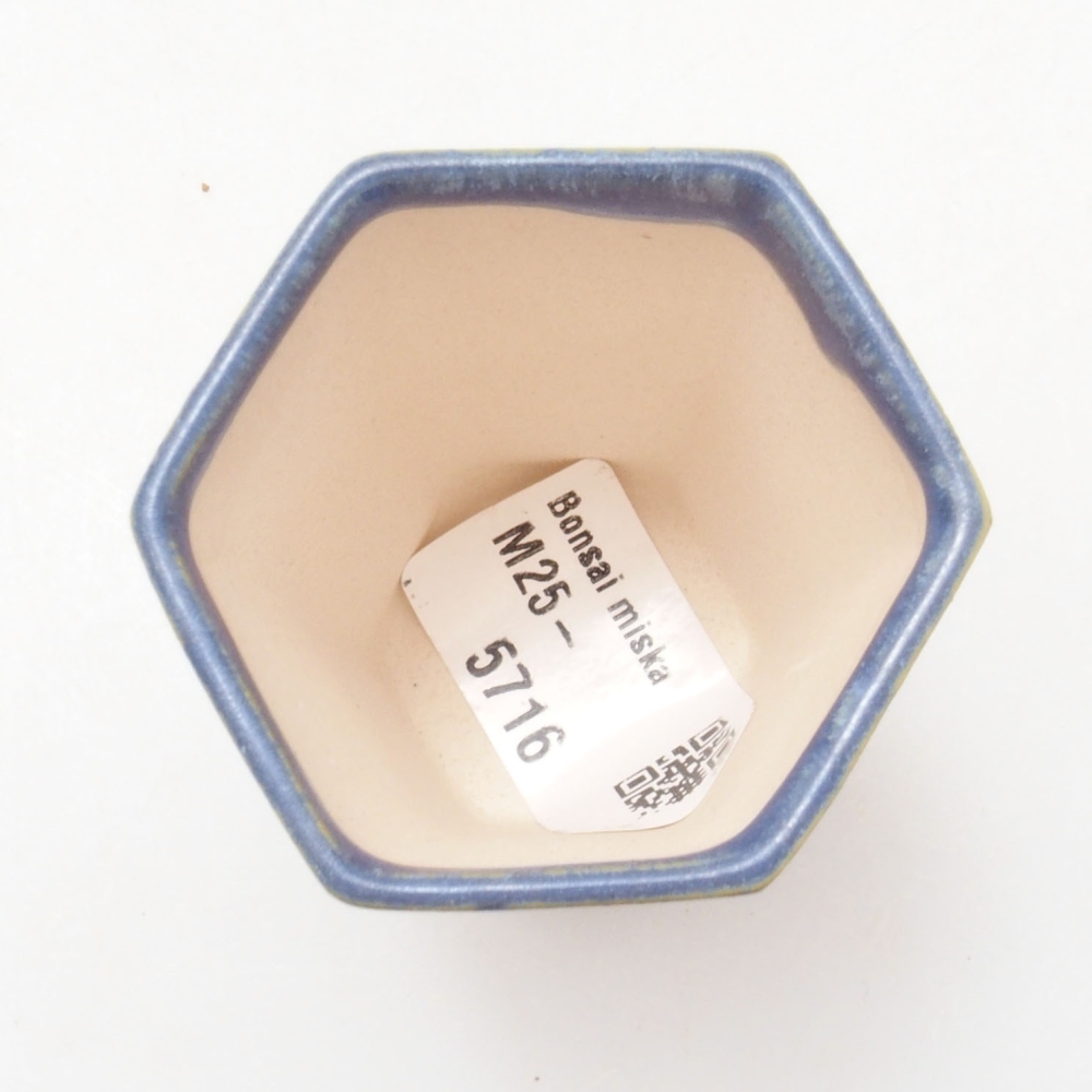 Mini bonsaischaal 4,5 x 4,5 x 6,5 cm, kleur blauw