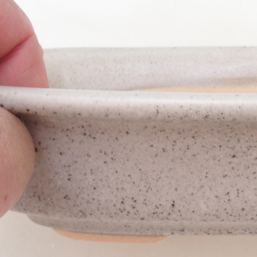 Bonsaischaal H02 - 19 x 13 x 5 cm - beige