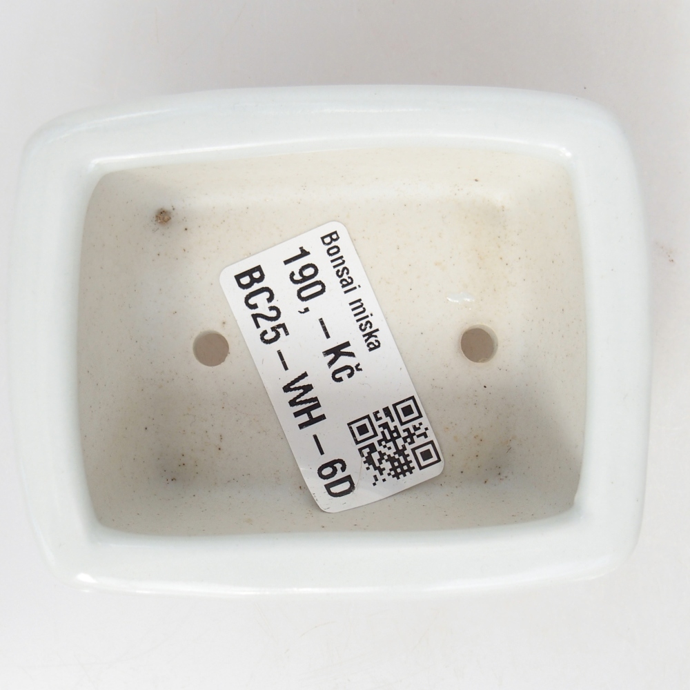 Mini bonsaischaal 8 x 6,5 x 3,5 cm, wit