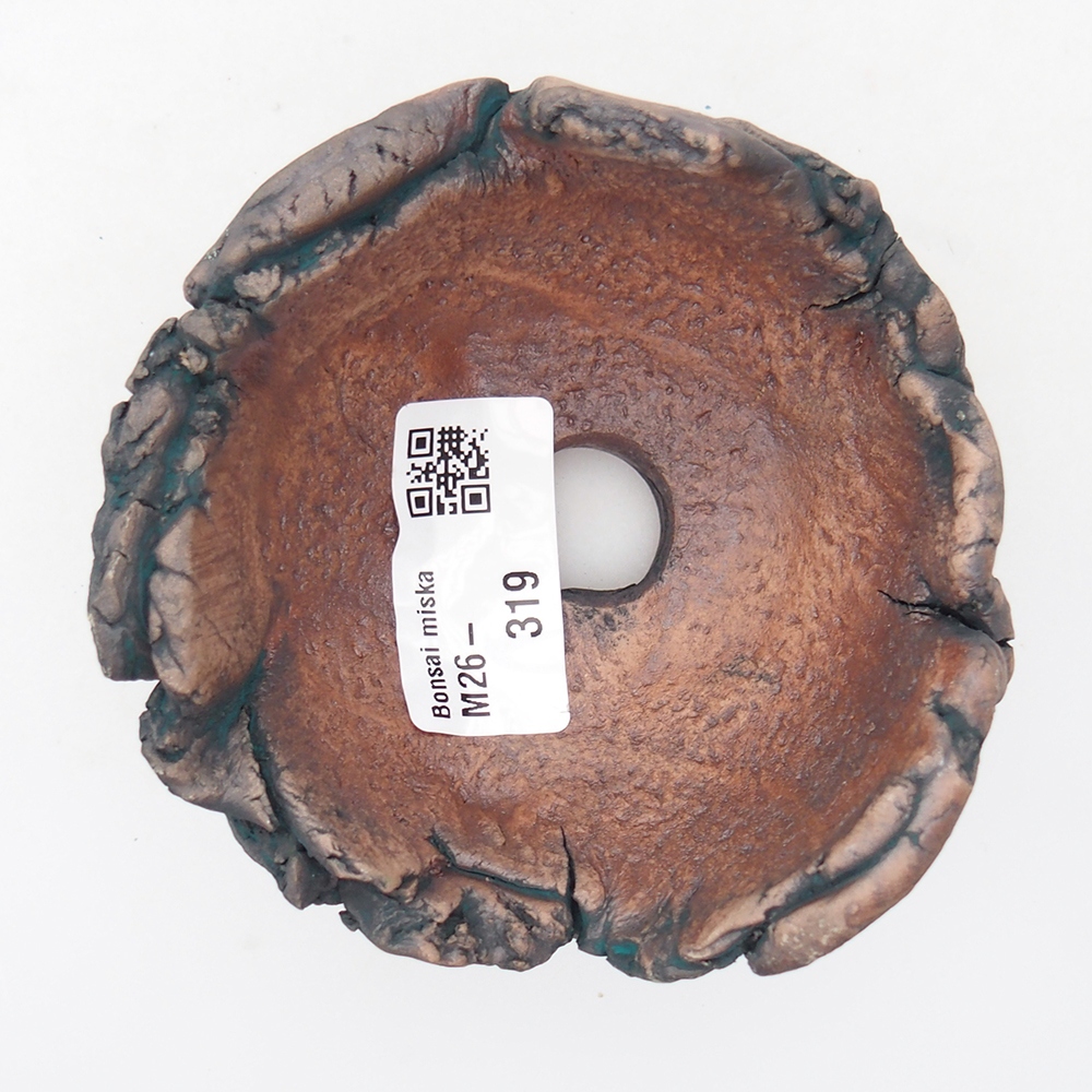 Keramische schelp 9 x 9 x 6 cm , kleur groen