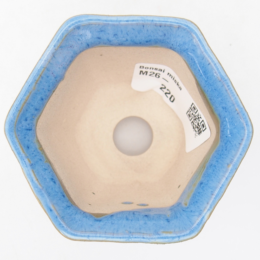 Mini bonsaischaal 4 x 6,5 x 5 cm, kleur blauw