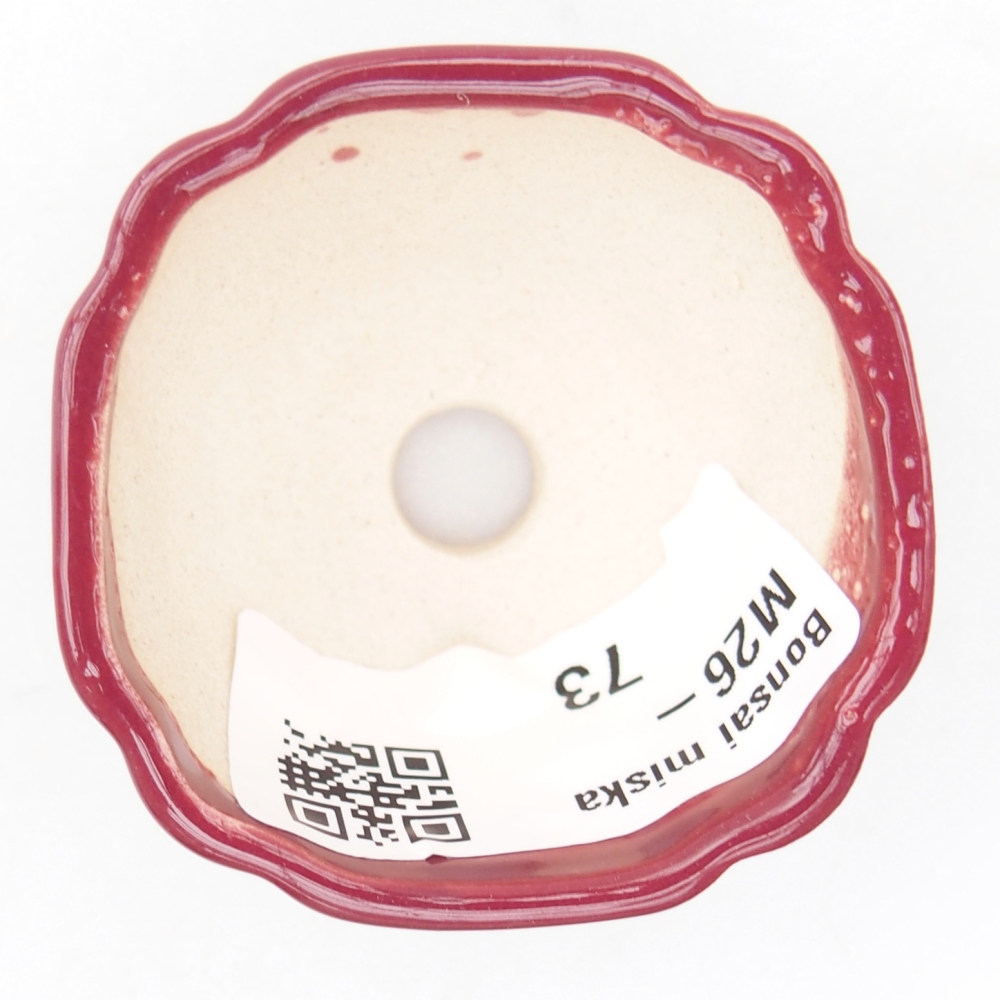 Mini bonsaischaal 4,5 x 4,5 x 2,5 cm, bordeauxrood