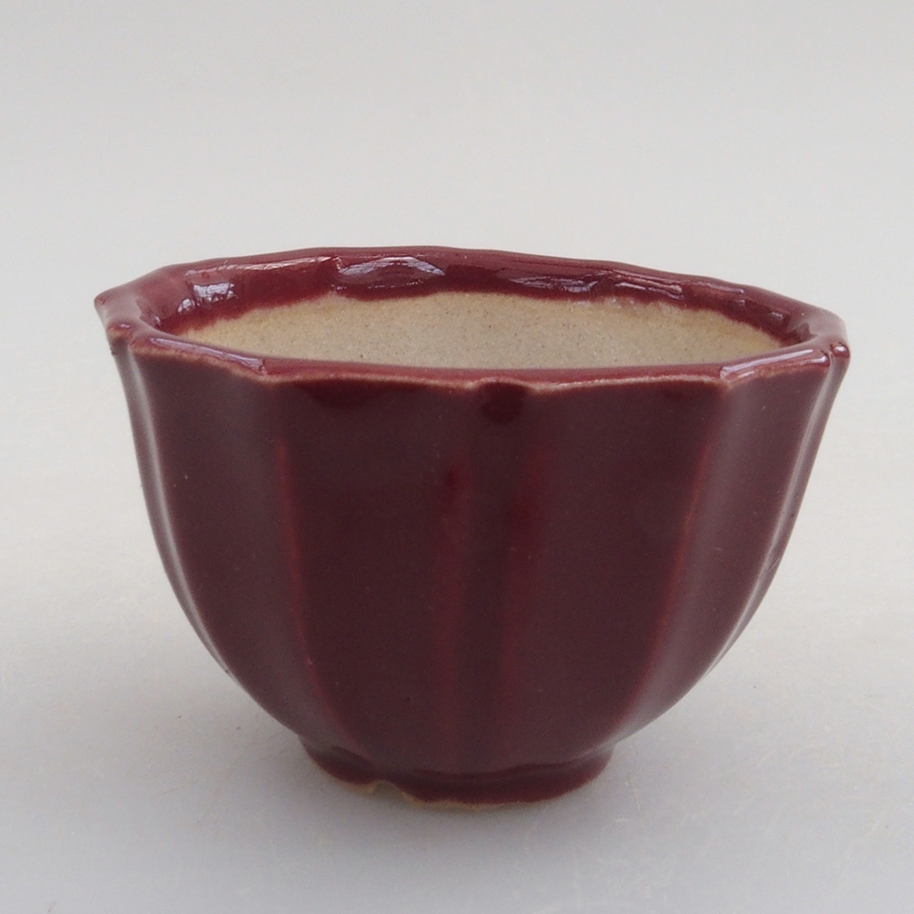 Mini bonsaischaal 5 x 5 x 3 cm, bordeauxrood