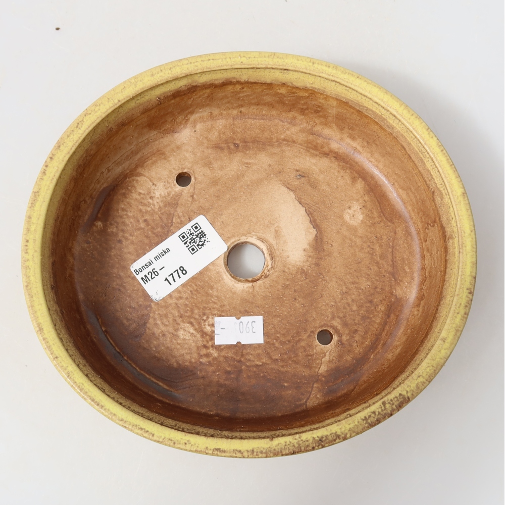 Keramische bonsaipot 18 x 16,5 x 4,5 cm, kleur geel