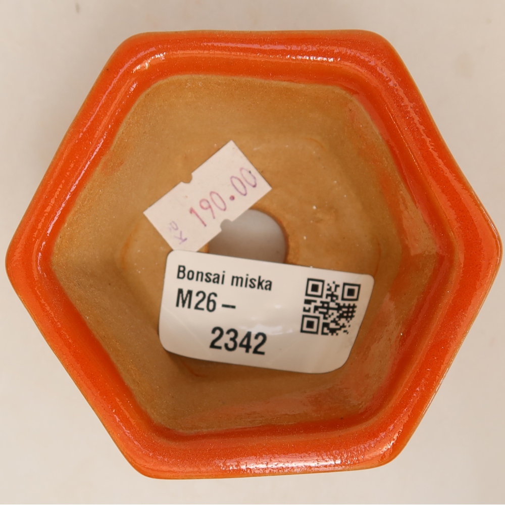Keramische bonsaipot 7,5 x 7 x 4 cm, kleur: oranje