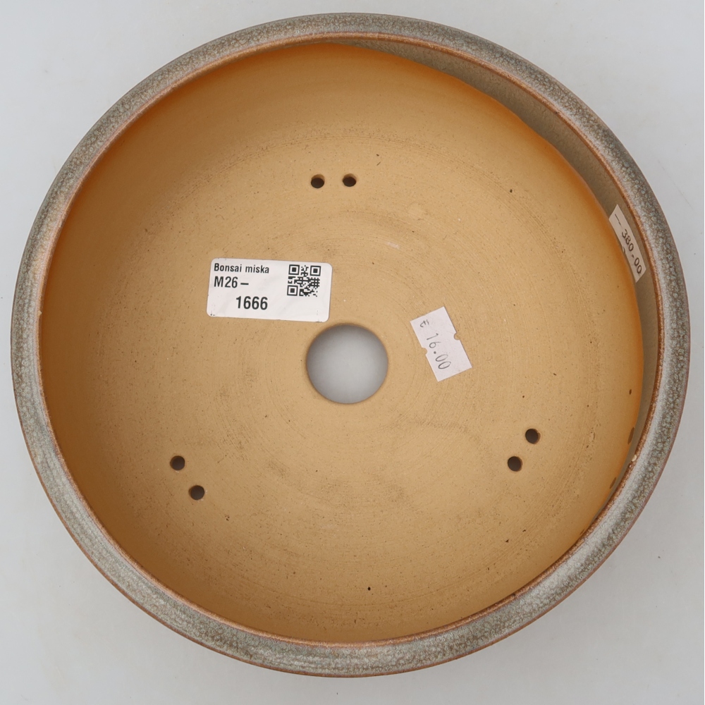 Keramische bonsaipot 19 x 19 x 6,5 cm, kleur: beige