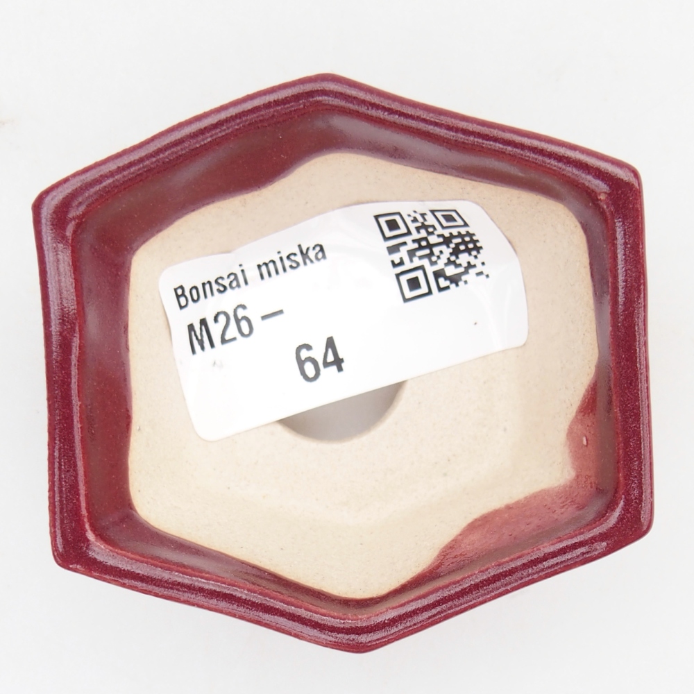 Mini bonsaischaal 6 x 5,5 x 2,5 cm, bordeauxrood
