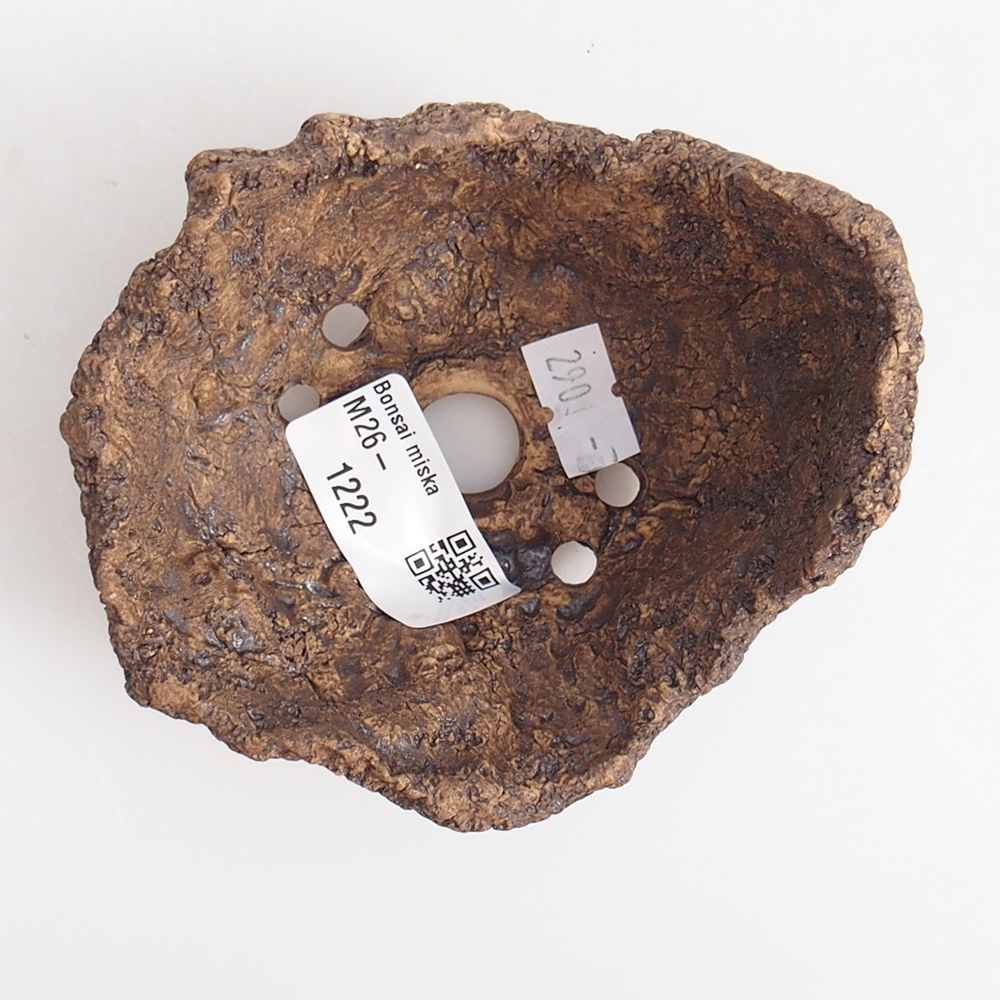 Keramisch Schelp 9 x 8 x 7 cm , kleur bruin