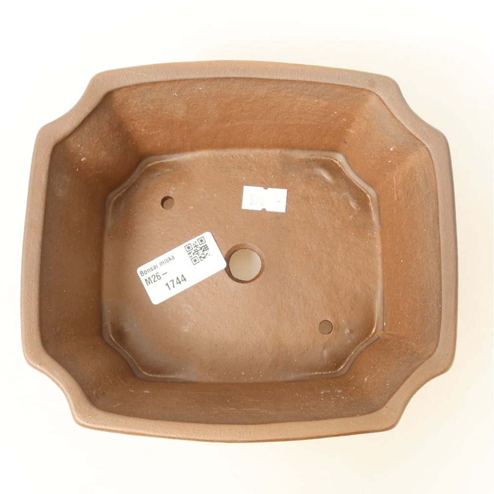 Keramische bonsaipot 18 x 15 x 6 cm, kleur: roze