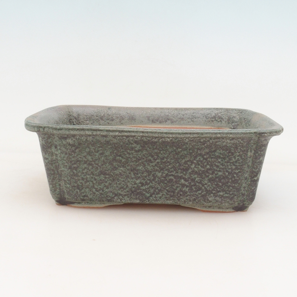 Bonsaischaal H50 - 17 x 12,5 x 5,5 cm - groen