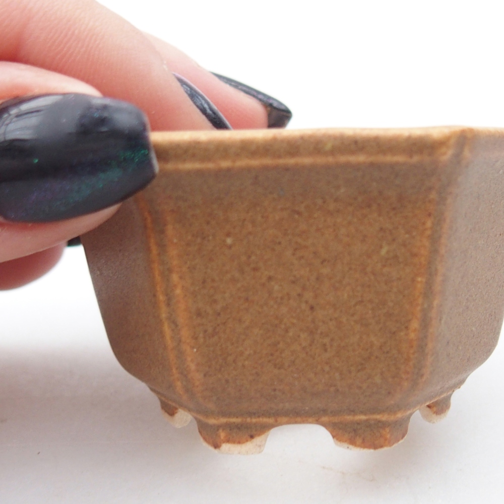 Mini bonsaischaal 5,5 x 5 x 3 cm, bruin