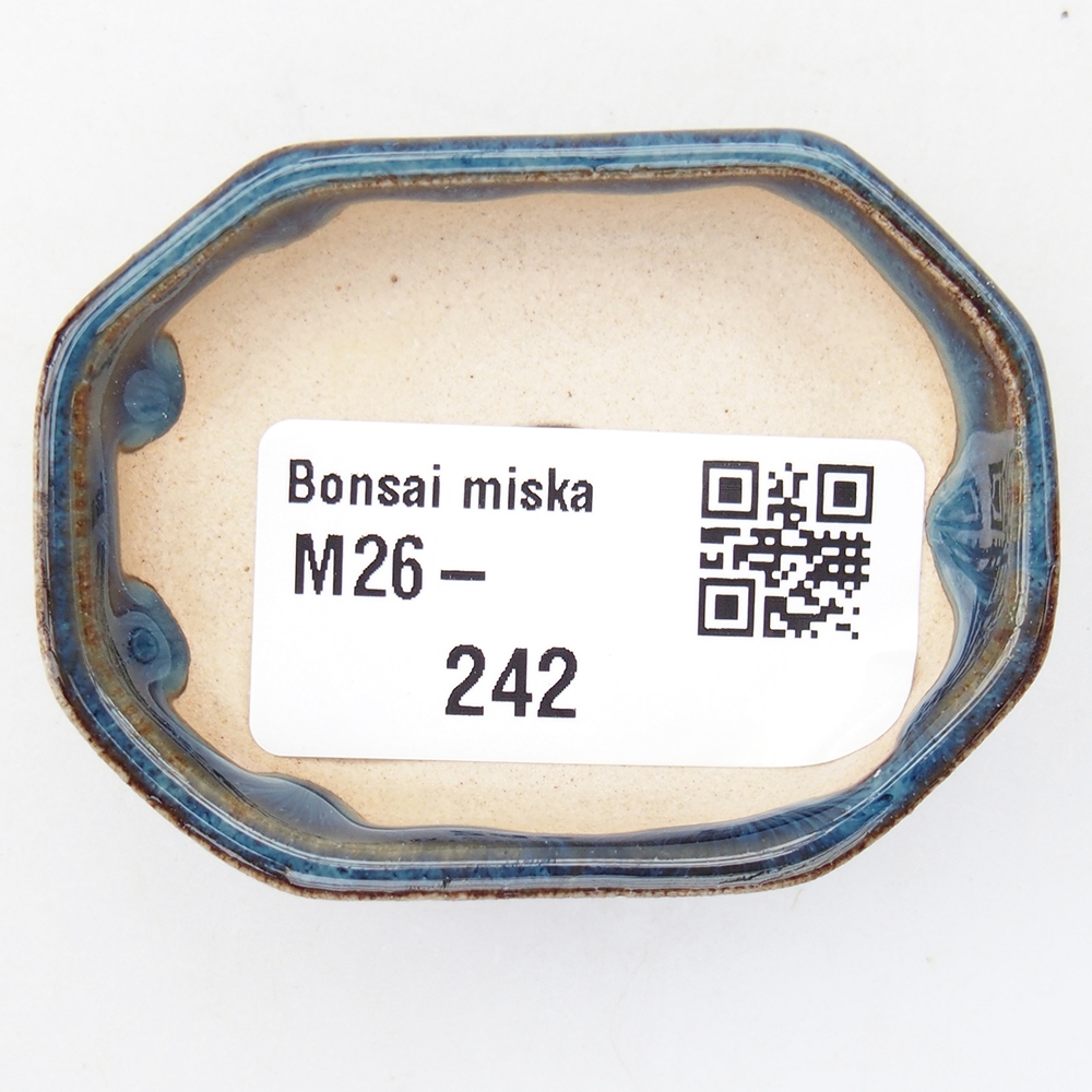 Mini bonsaischaal 5,5 x 4 x 1,5 cm, kleur blauw