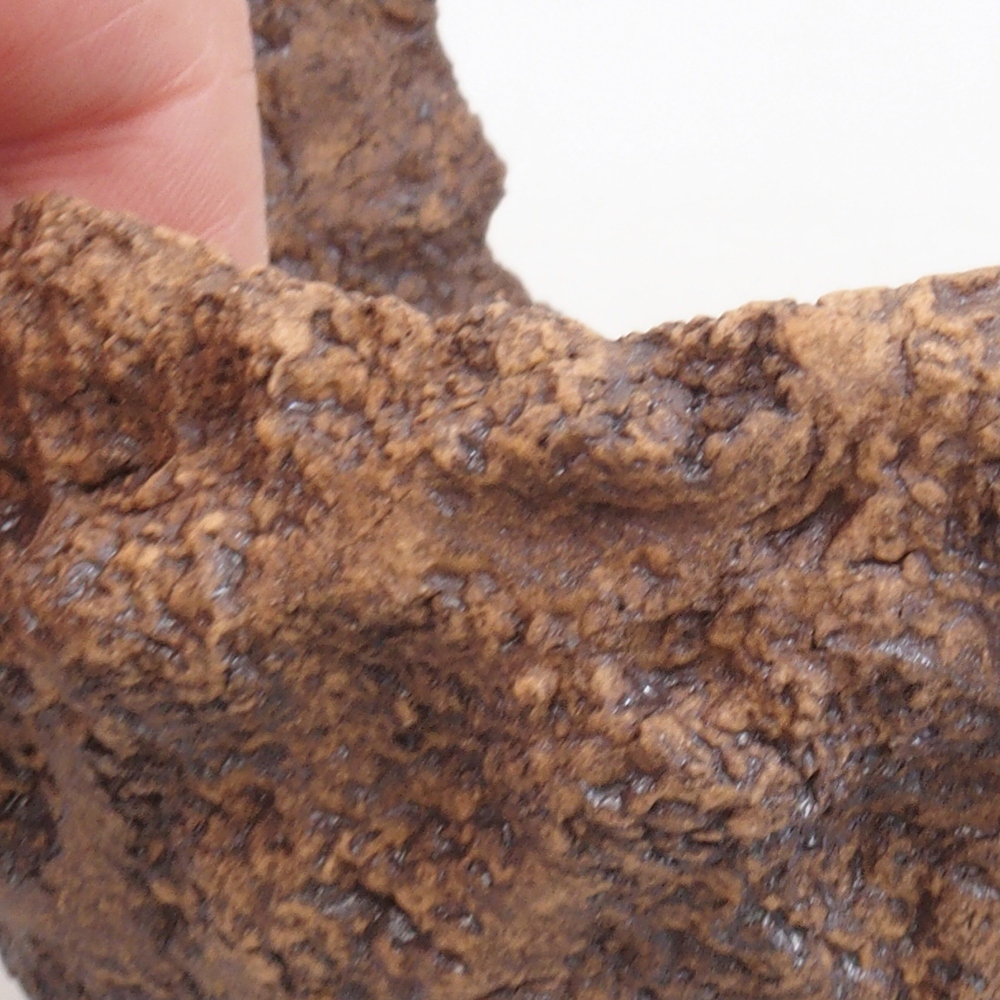 Schelp van keramiek 10 x 8 x 10 cm , kleur bruin