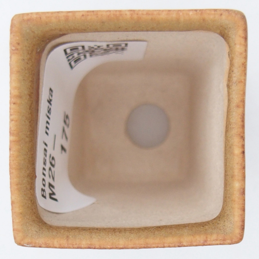 Mini bonsaischaal 3,5 x 3,5 x 5 cm, bruin
